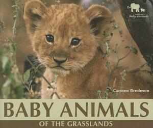 Baby Animals of the Grasslands by Carmen Bredeson