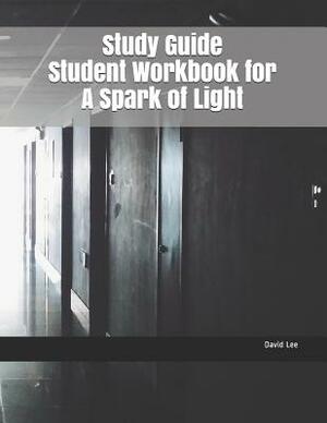 Study Guide Student Workbook for a Spark of Light by David Lee