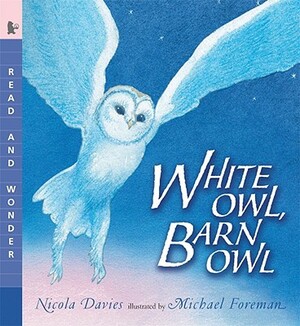 White Owl, Barn Owl: Read and Wonder by Nicola Davies