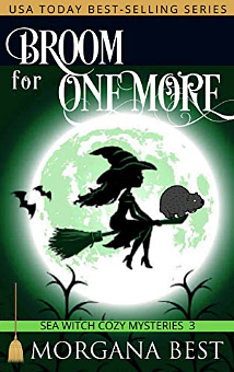 Broom for One More by Morgana Best