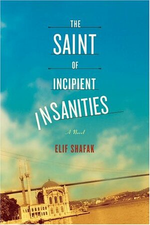 The Saint of Incipient Insanities by Elif Shafak