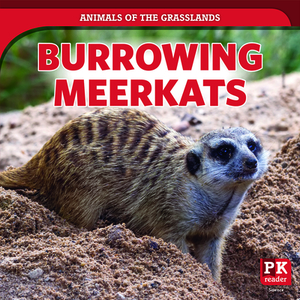 Burrowing Meerkats by Theresa Emminizer