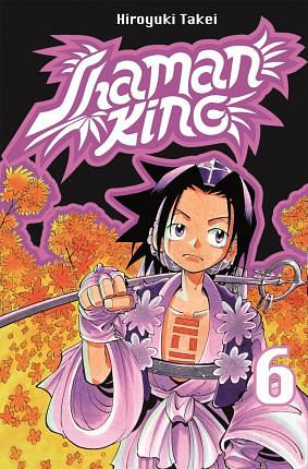 Shaman King 06: Resan till Izumo by Hiroyuki Takei