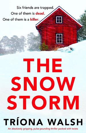 The Snowstorm by Tríona Walsh