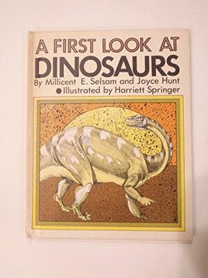 A First Look at Dinosaurs by Millicent E. Selsam