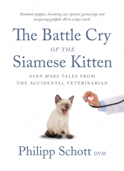 Battle Cry of the Siamese Kitten by Philipp Schott