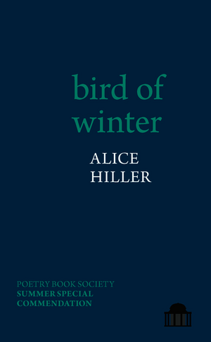 bird of winter by Alice Hiller