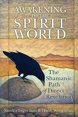 Awakening to the Spirit World: The Shamanic Path of Direct Revelation [With CDROM] by Hank Wesselman, Sandra Ingerman