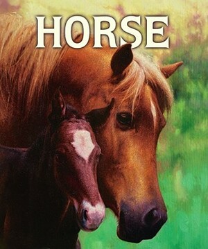 Horse by Malachy Doyle