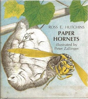 Paper Hornets by Ross E. Hutchins