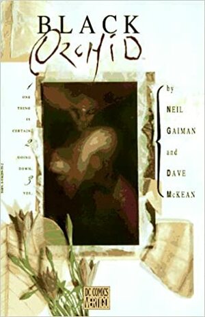 Black Orchid by Dave McKean, Neil Gaiman