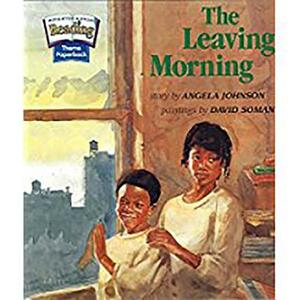 Houghton Mifflin Reading: The Nation's Choice: Theme Paperbacks Grade 1.3 Theme 5 - The Leaving Morning by 