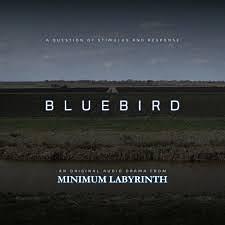 Bluebird by Robert Kingham, Rich Cochrane