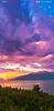 susana_4's profile picture