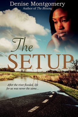 The Setup by Denise Montgomery