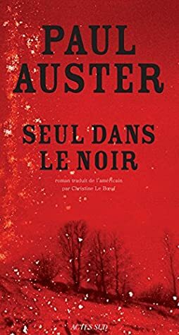 Seul dans le noir by Christine Le Bœuf, Paul Auster