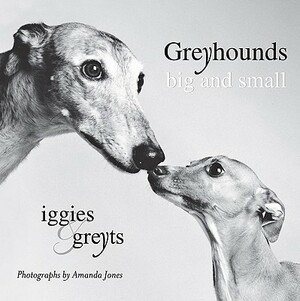 Greyhounds Big and Small: Iggies and Greyts by Amanda Jones