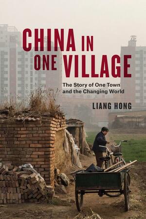 China in One Village: The Story of One Town and the Changing World by Liang Hong