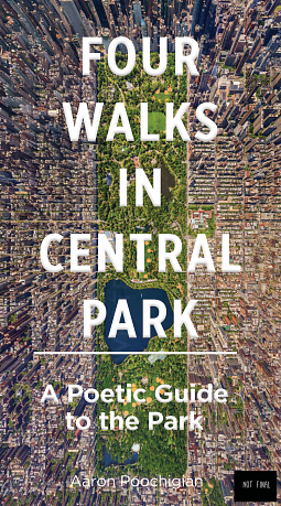 Four Days in Central Park by Aaron Poochigian