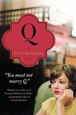 Q: A Novel by Evan Mandery