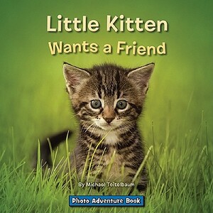 Little Kitten Wants a Friend by Michael Teitelbaum