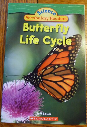 Butterfly Life Cycle by Jeff Bauer