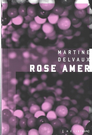 Rose Amer by Martine Delvaux