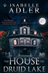 The House on Druid Lake by Isabelle Adler