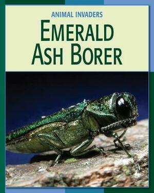 Emerald Ash Borer by Susan H. Gray