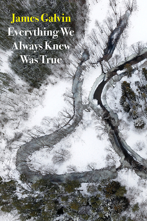 Everything We Always Knew Was True by James Galvin