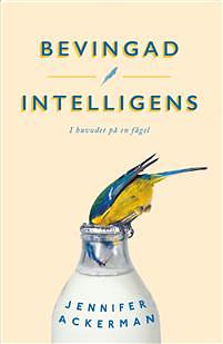 Bevingad intelligens : I huvudet på en fågel - by Jennifer Ackerman