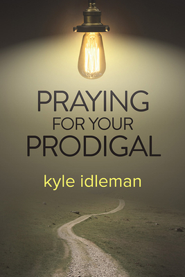 The Grace Effect: What Happens When Our Brokenness Collides with God's Grace by Kyle Idleman