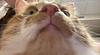 https_lily's profile picture