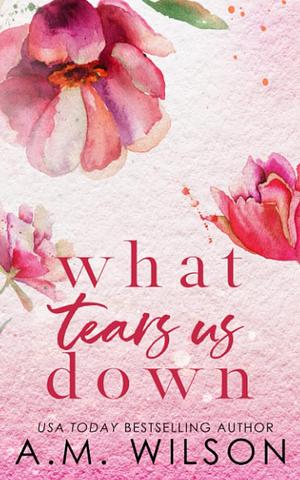 What Tears Us Down: Special Edition by A.M. Wilson