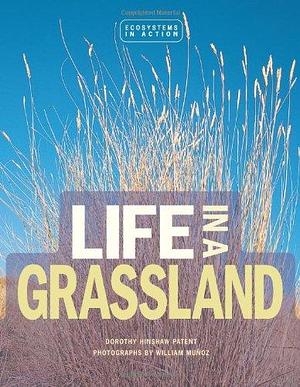 Life in a Grassland: The Tallgrass Prairie by Dorothy Hinshaw Patent