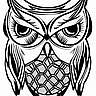 owl_the_bookworm's profile picture