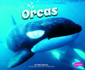 Orcas by Jody S. Rake