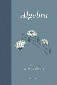 Algebra: x och y i vardagsmatematik by Michael Willers