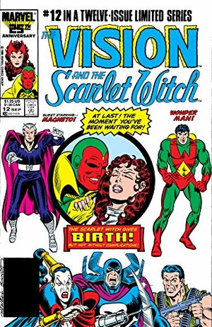 Vision and the Scarlet Witch (1985-1986) #12 by Steve Englehart
