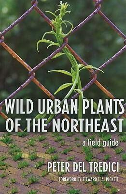 Wild Urban Plants of the Northeast: A Field Guide by Peter del Tredici