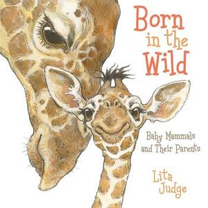 Born in the Wild: Baby Animals and Their Parents by Lita Judge