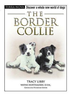 The Border Collie by Tracy Libby