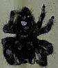 darkmoonblade13's profile picture