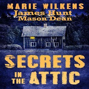 Secrets in the Attic by Marie Wilkens