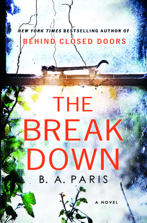 The Breakdown: The 2017 Gripping Thriller from the Bestselling Author of Behind Closed Doors by B.A. Paris