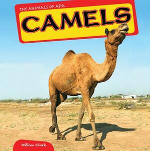 Camels by Willow Clark