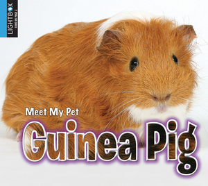 Guinea Pig by Jared Siemens