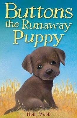 Buttons the Runaway Puppy by Holly Webb, Sophy Williams