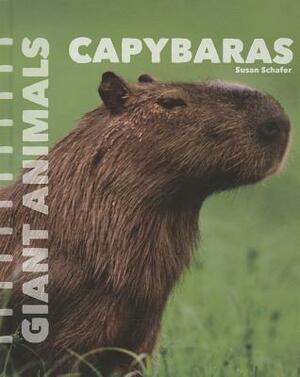 Capybaras by Susan Schafer