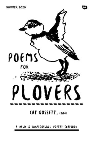 Poems for Plovers by Blake Campbell, Susan Edwards Richmond, Elizabeth Kuelbs, Zachary Bos, Agnes Martin, Paulette Turco, Heather Martin, Cat Dossett, Diana Adams